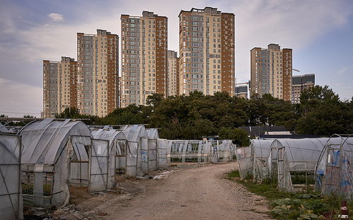 韩国汉城的房地产开发 房子如同地里的庄稼一样疯长